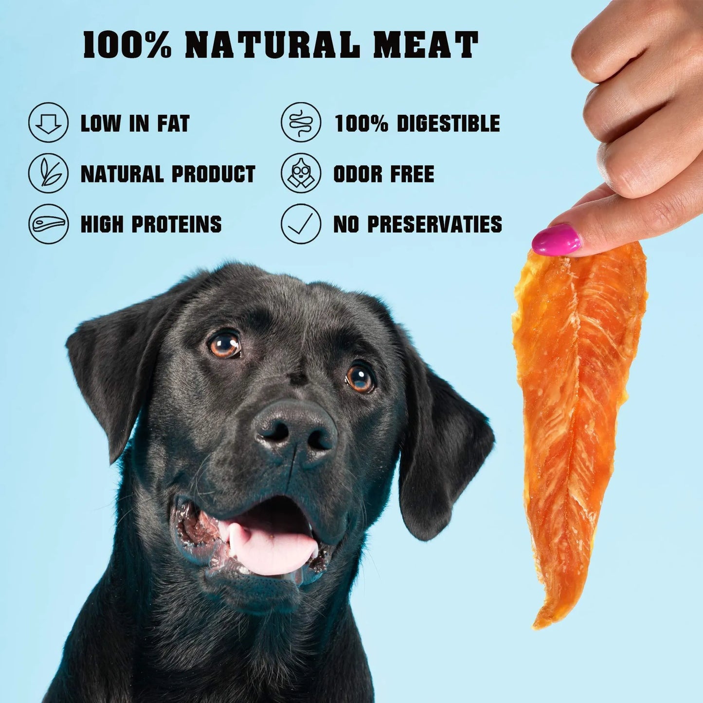 Ultimate Value Pack - Premium Dog Food Bundle (Save 30%)