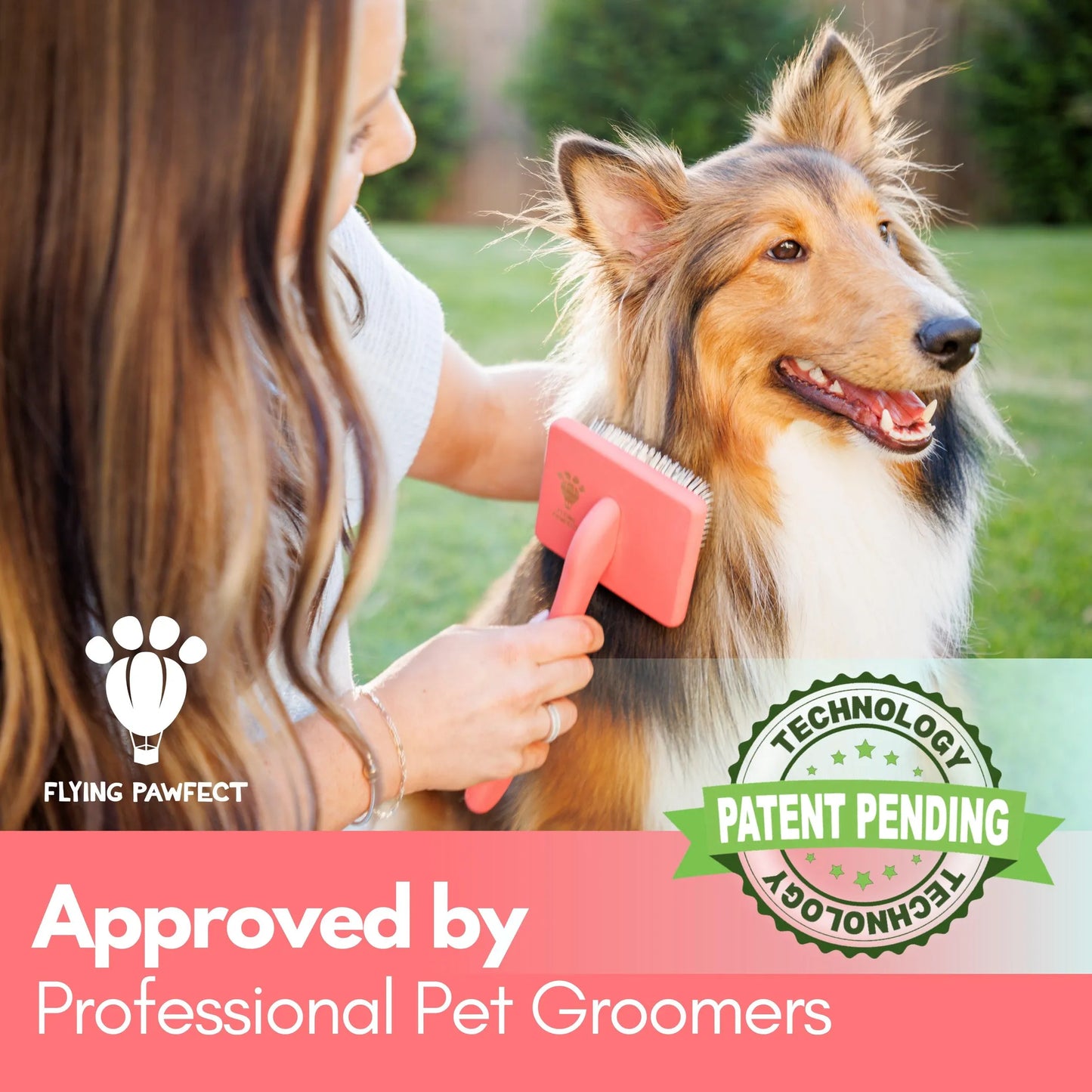 Eco-Friendly Dog Grooming Brush