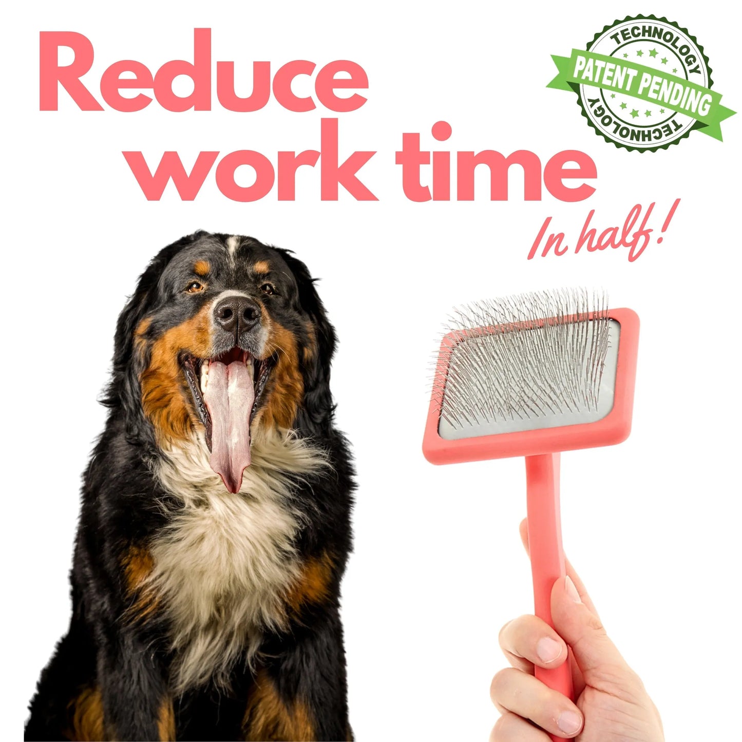 Eco-Friendly Dog Grooming Brush