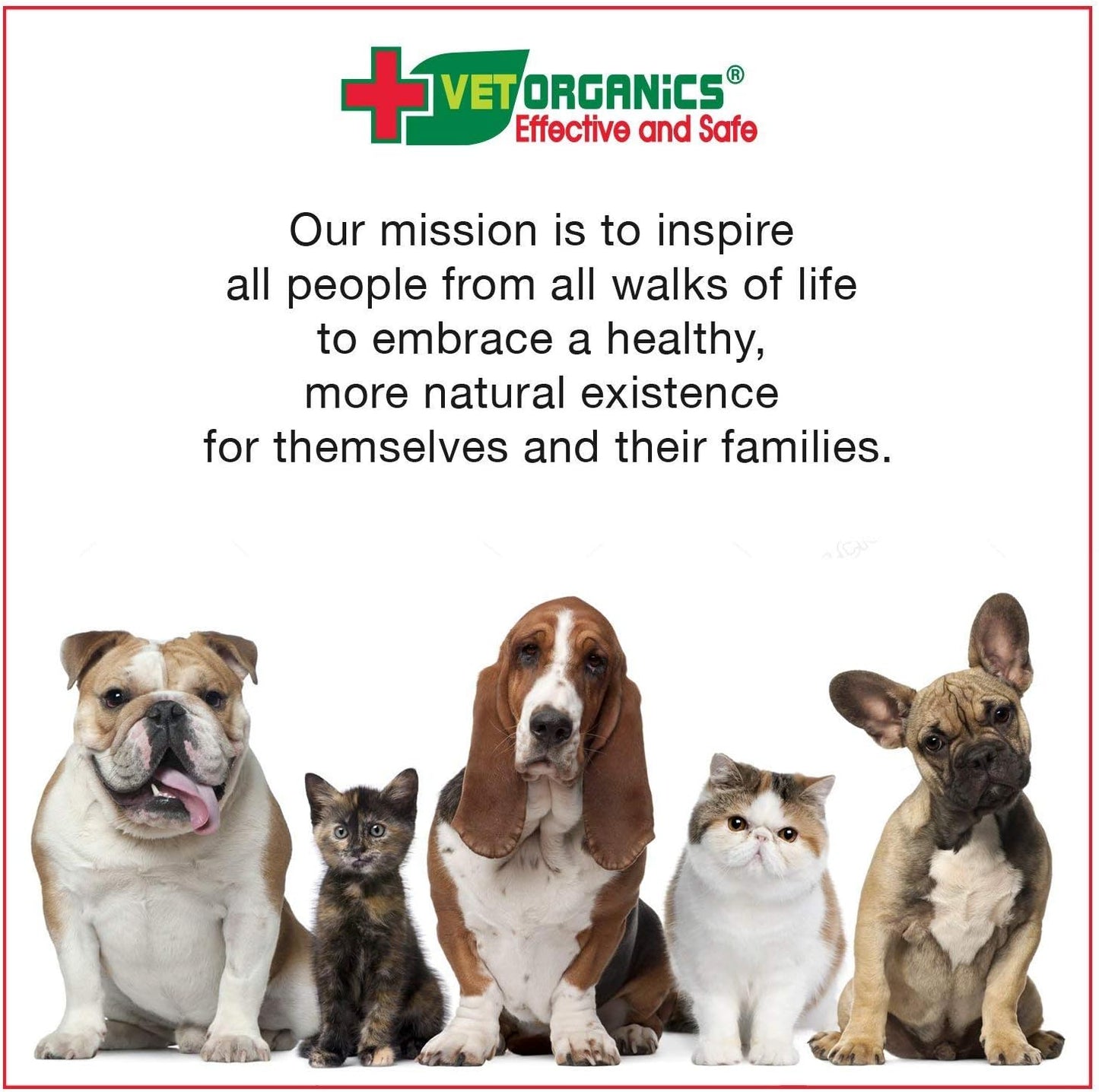 EcoImmune Immune Support & Booster Supplement for Dogs & Cats