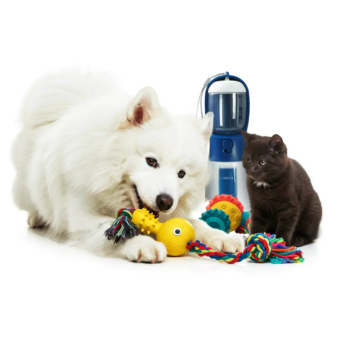 Essentials-Toys Bargo Shop