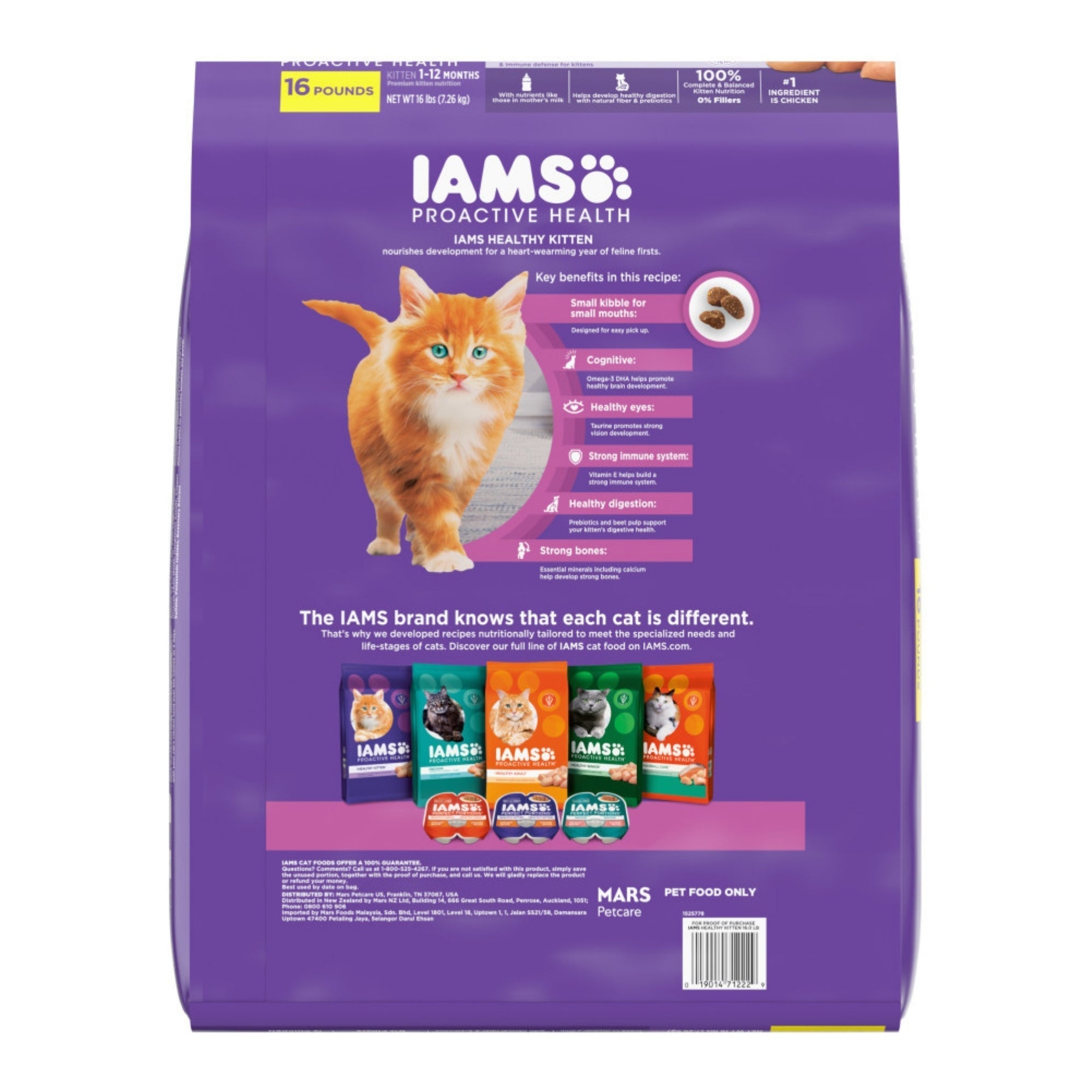 IAMS Proactive Health Kitten Dry Cat Food Chicken 16lb IAMS Cat Food Dry