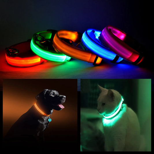 GlowUp LED Safety Collar