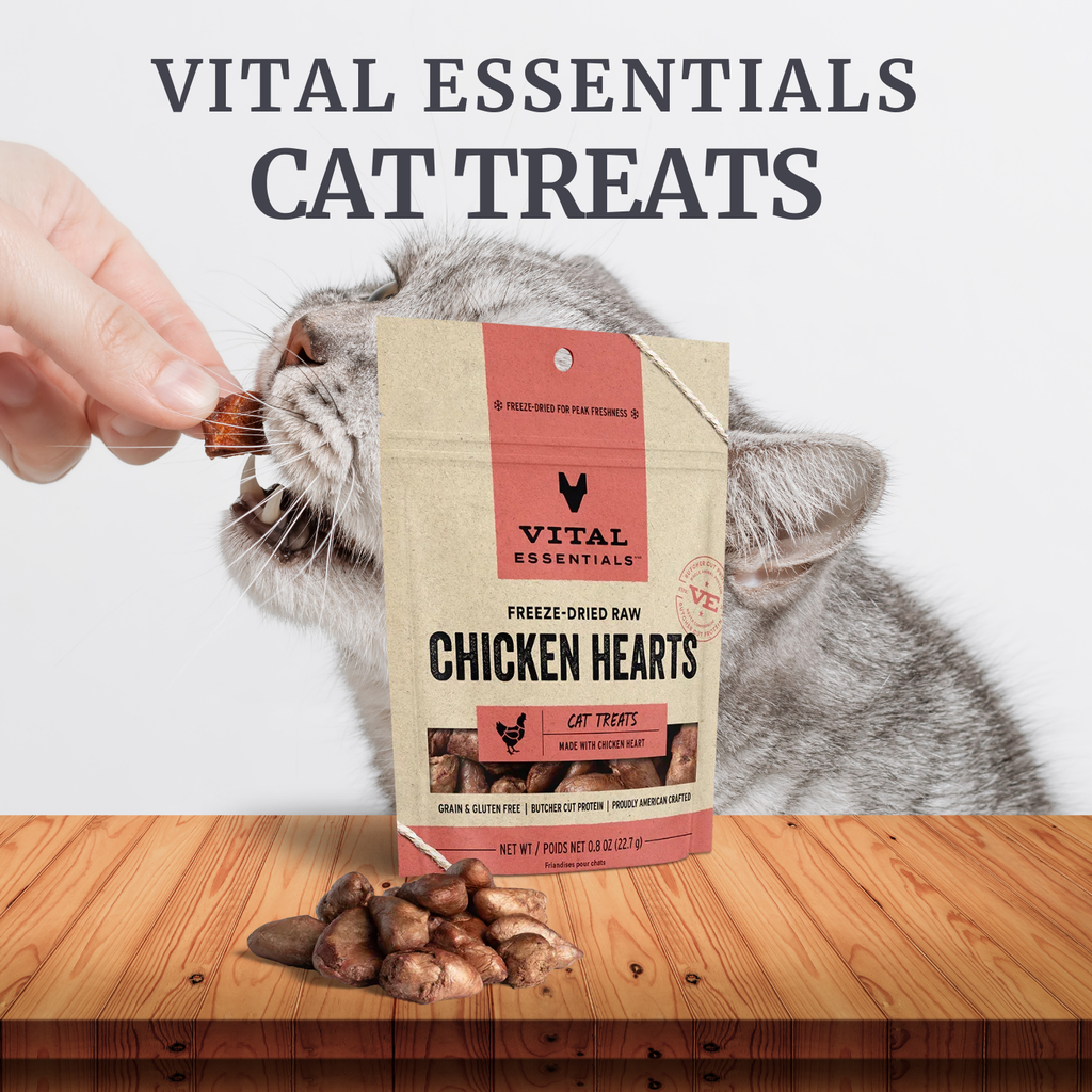 Vital Essentials Cat Treats | Freeze-Dried Chicken Hearts | Grain &amp; Gluten Free, Single Protein | 0.8 oz Pack Vital Essentials Cat Treats Freeze Dried