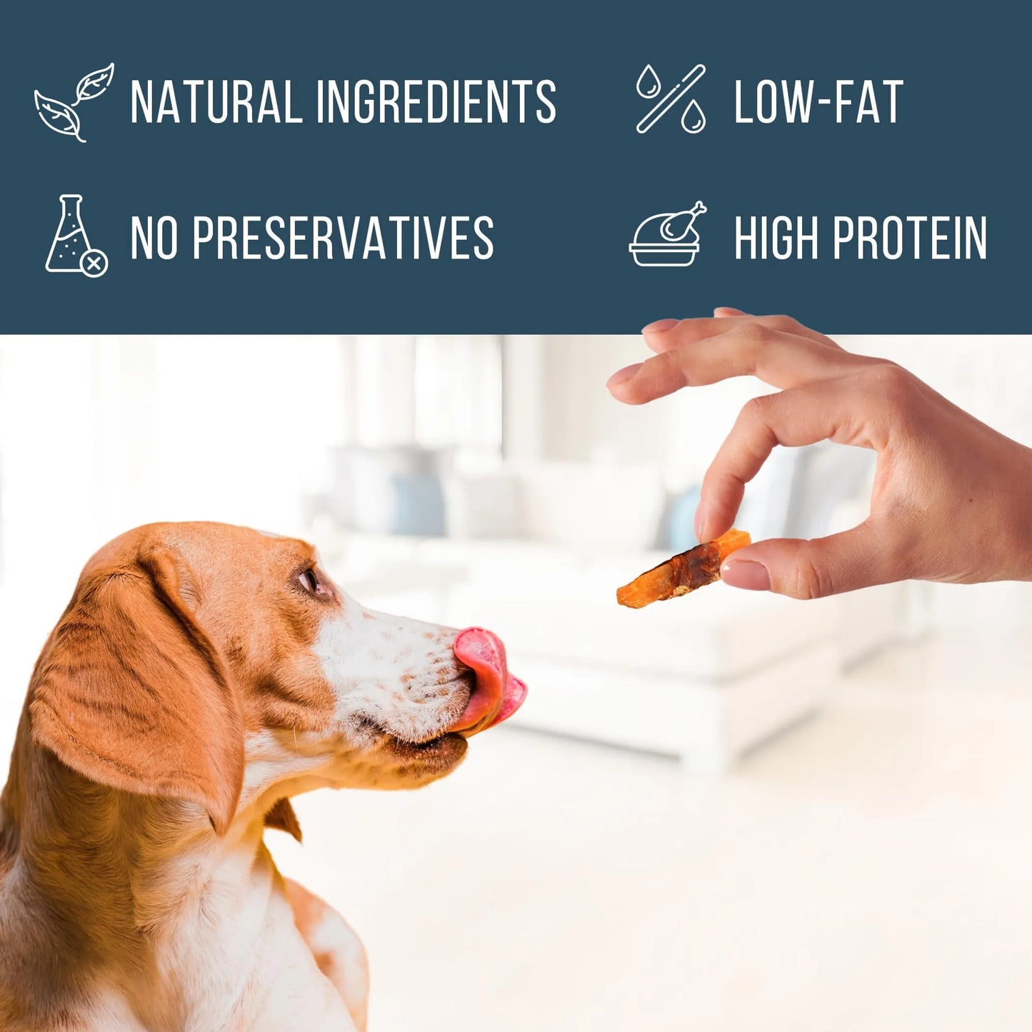 Wraps Jerky Human Grade Pet Snacks
