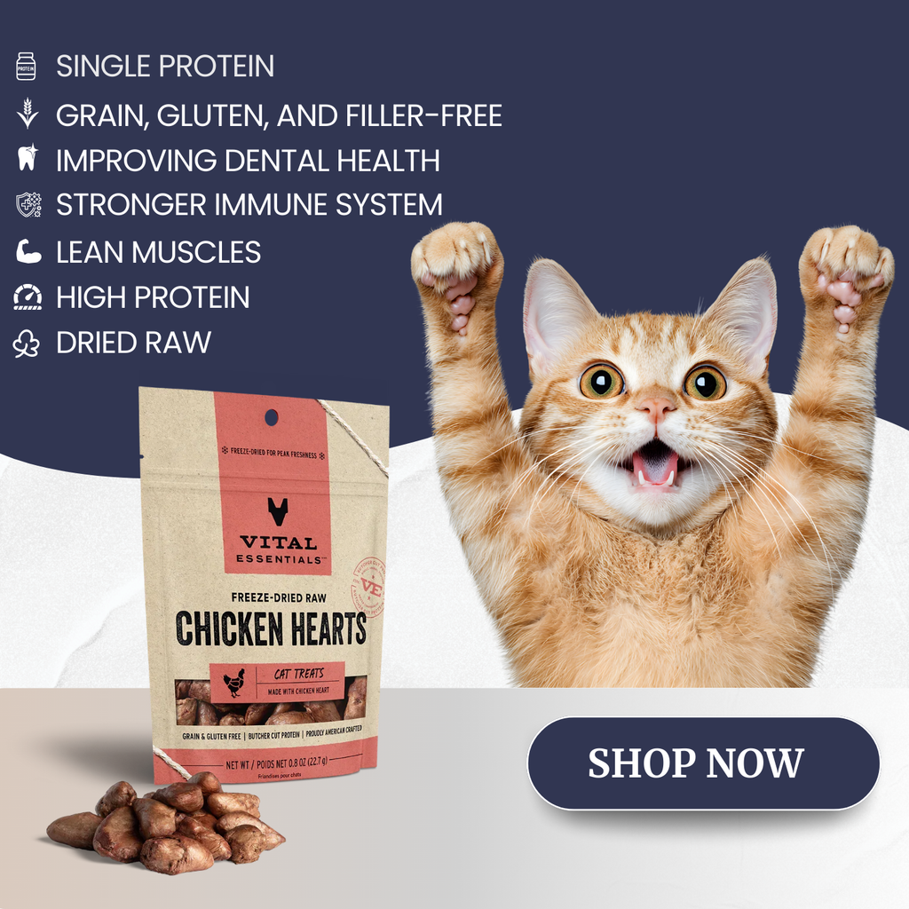 Vital Essentials Cat Treats | Freeze-Dried Chicken Hearts | Grain &amp; Gluten Free, Single Protein | 0.8 oz Pack Vital Essentials Cat Treats Freeze Dried