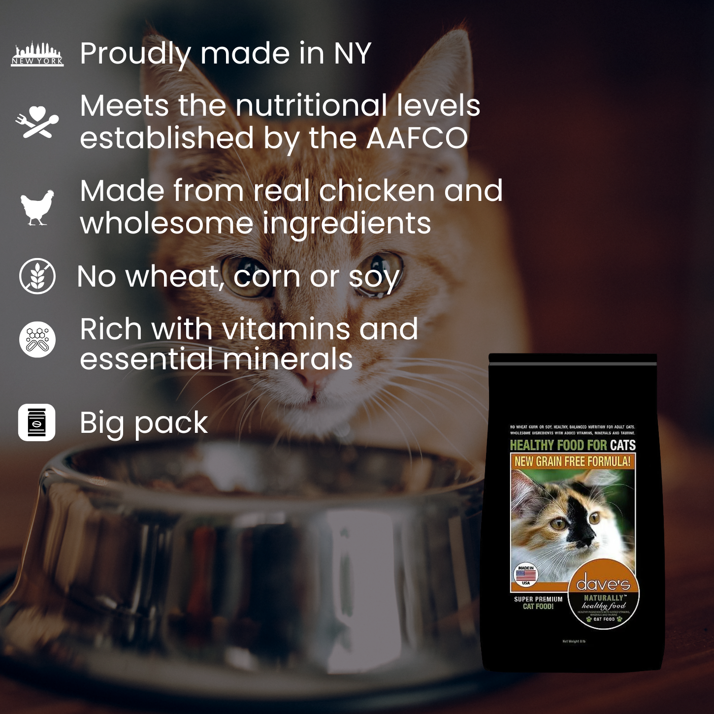 Dave's Cats Naturally Healthy Adult Cat Food 8 Lbs Daves Pet Food Cat Food Dry