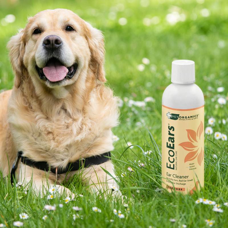 EcoEars Dog Ear Cleaner – Infection Formula