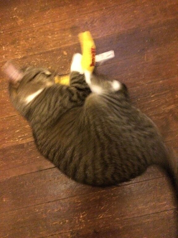 Yeowww Banana Catnip Cat Toy Yellow, 7 in Yeowww! Catnip Cat Toys Catnip