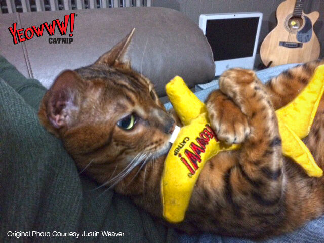 Yeowww Banana Catnip Cat Toy Yellow, 7 in Yeowww! Catnip Cat Toys Catnip