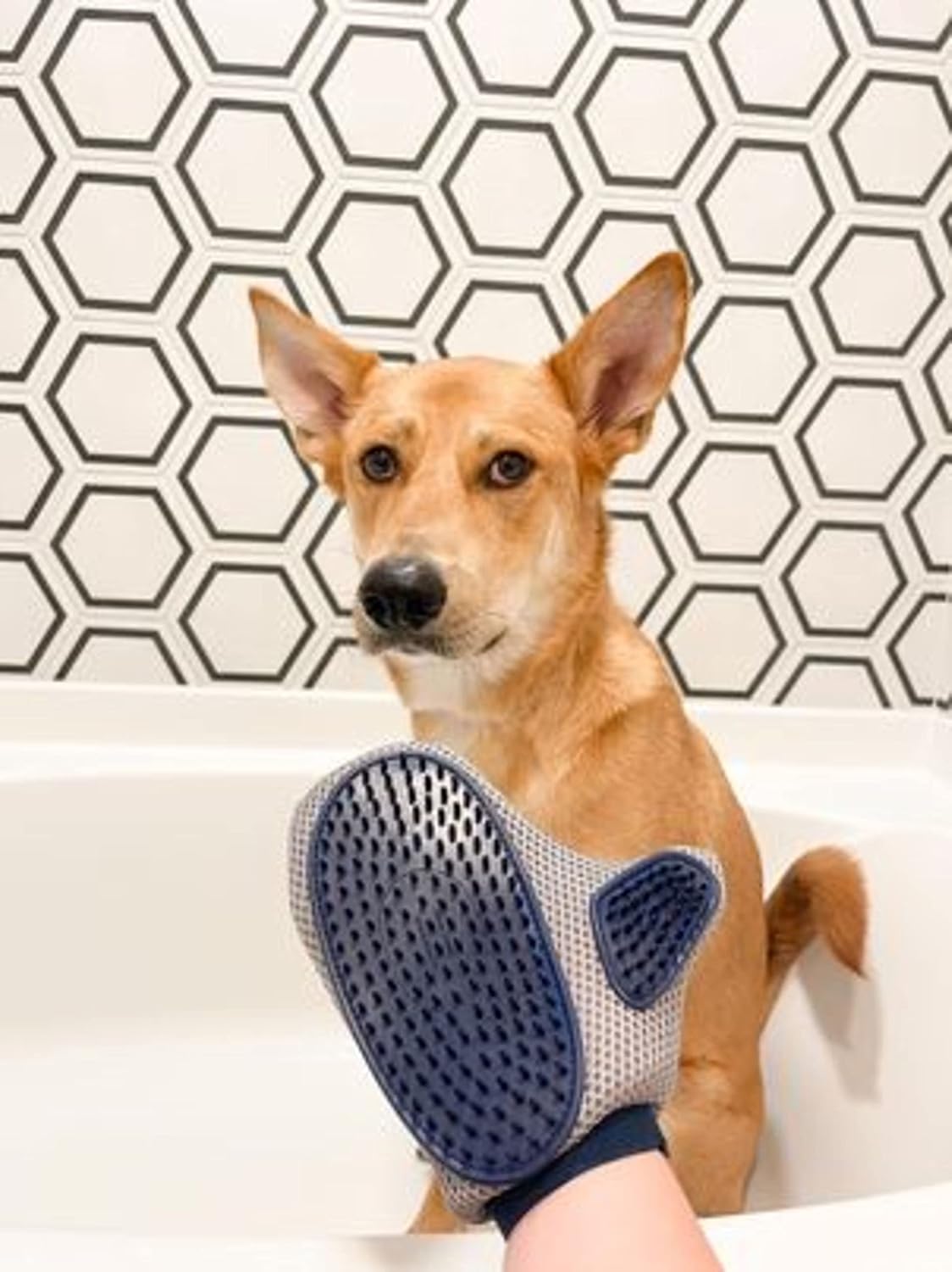 Four Paws Magic Coat Professional Series Love Glove Dog Grooming Mitt Grooming Mit 1ea/One Size Four Paws Dog Grooming Tools