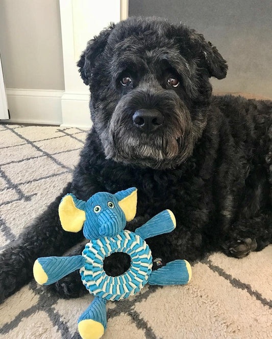 Spunky Pup Wibbleez Round