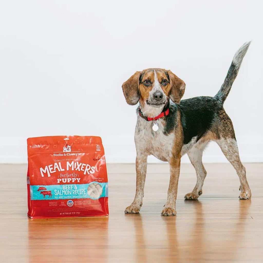 Stella and Chewys Dog Freeze-Dried Mixer Puppy Beef and Salmon 18oz. Stella & Chewys Dog Food Freeze Dried
