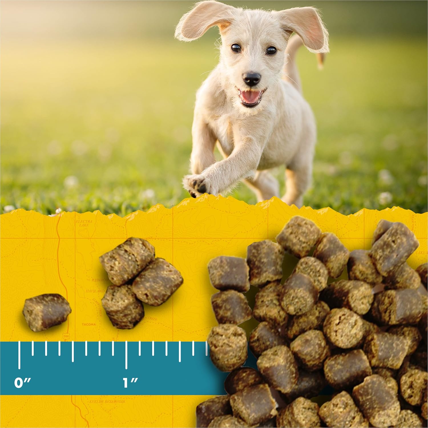 Zuke's Puppy Naturals | Training Dog Treats | Lamb & Chickpea Recipe | Grain Free | 5 oz Pack Zukes Dog Treats Soft & Chewy
