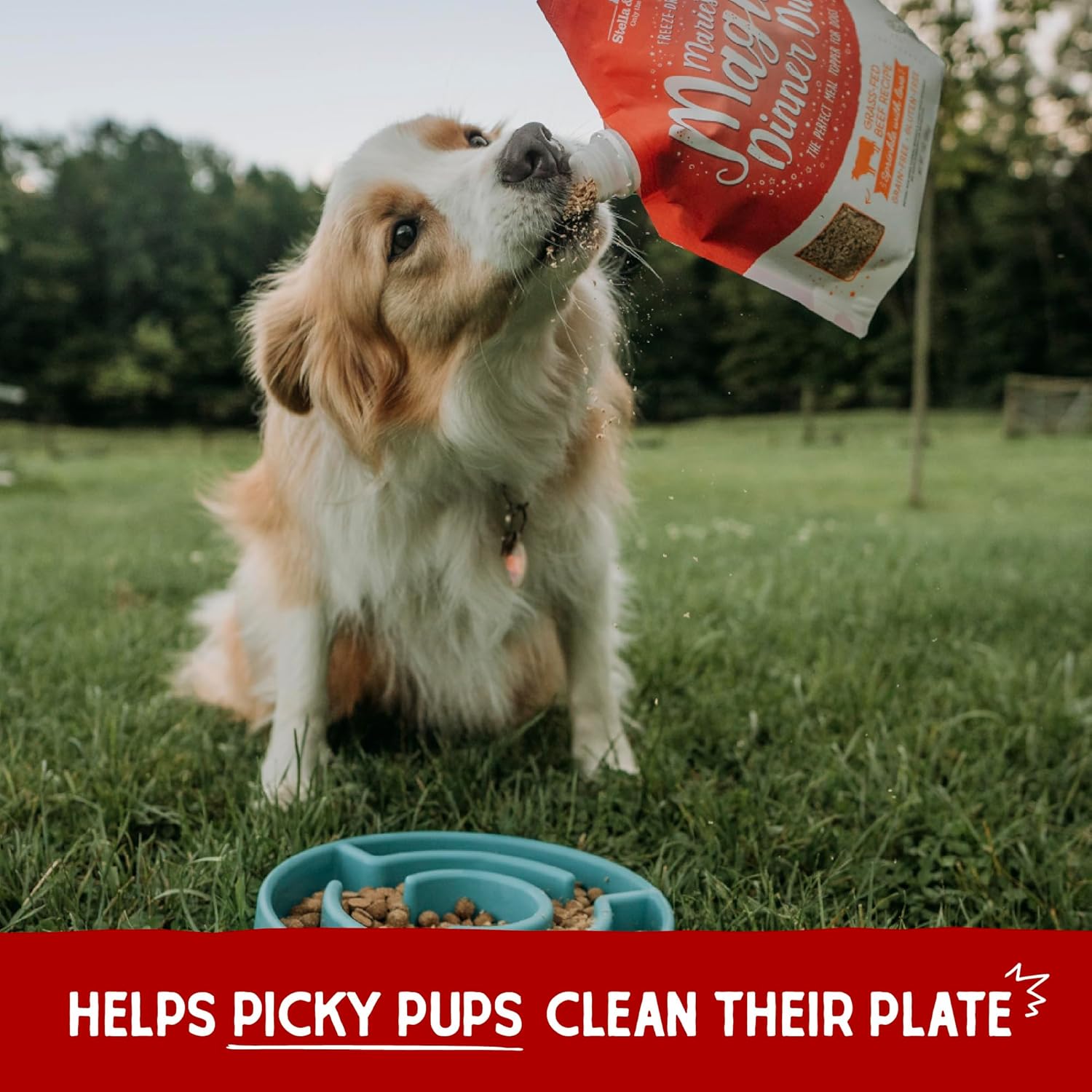 Stella And Chewys Dog Freeze-Dried Maries Magical Dinner Dust Beef 7oz. Stella & Chewys Dog Food Freeze Dried