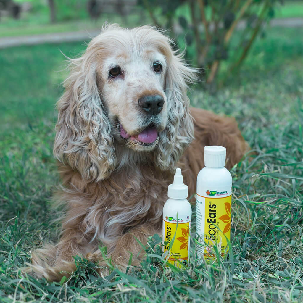 EcoEars Dog Ear Cleaner – Infection Formula